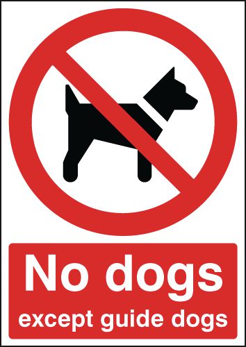 No Dogs Except Guide Dogs Sign